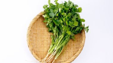 garnishing-instructions-image